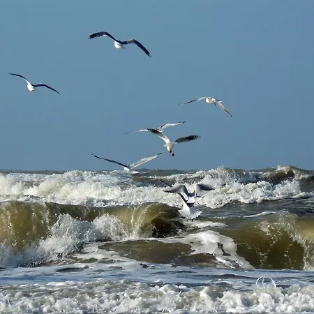 De Dennen Egmond aan Zee
