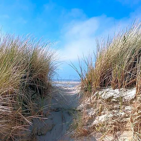 De Dennen Egmond aan Zee